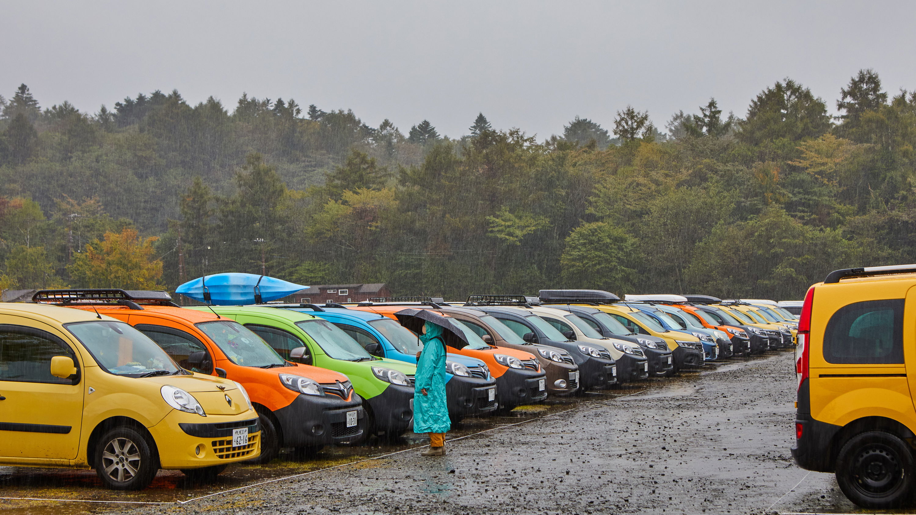 Rows of Renault Kangoos at the 2023 Kangoo Jamboree