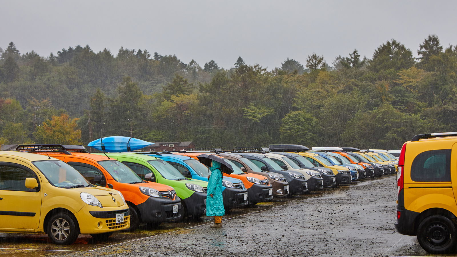 Rows of Renault Kangoos at the 2023 Kangoo Jamboree