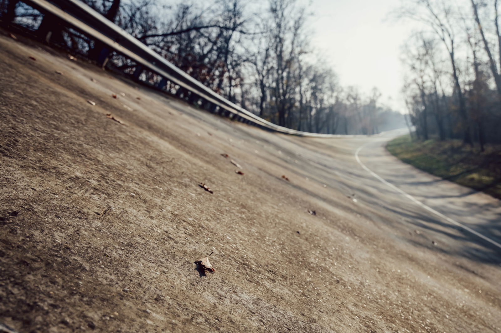 Monza's banking