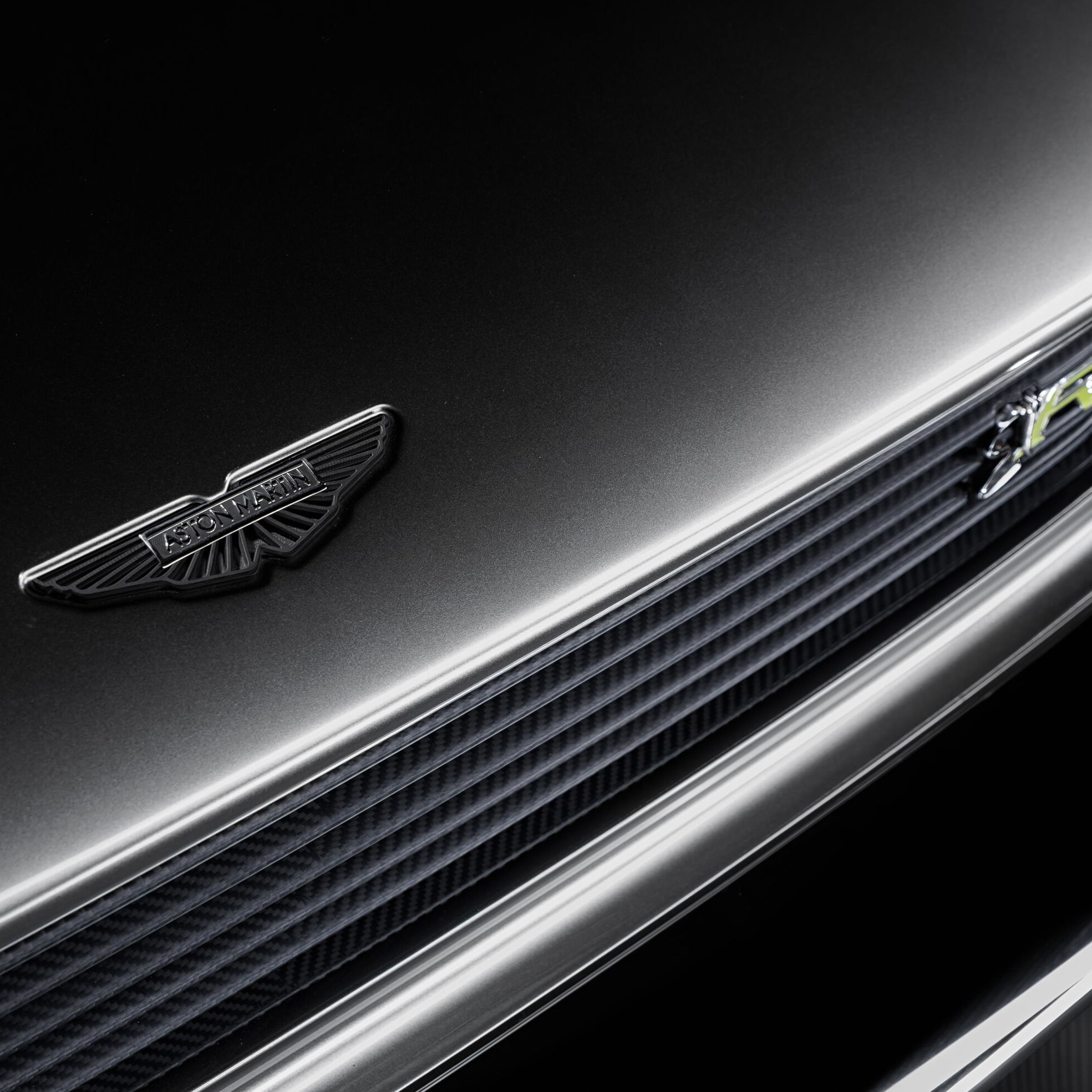 Ringbrothers Octavia teaser