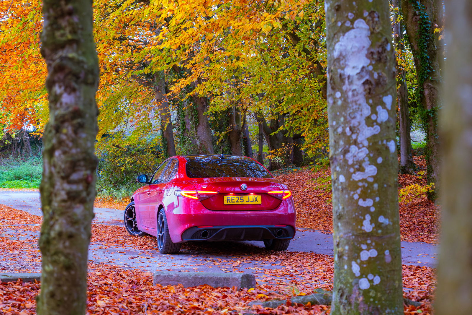 Alfa Romeo Giulia Intensa Rear 3/4