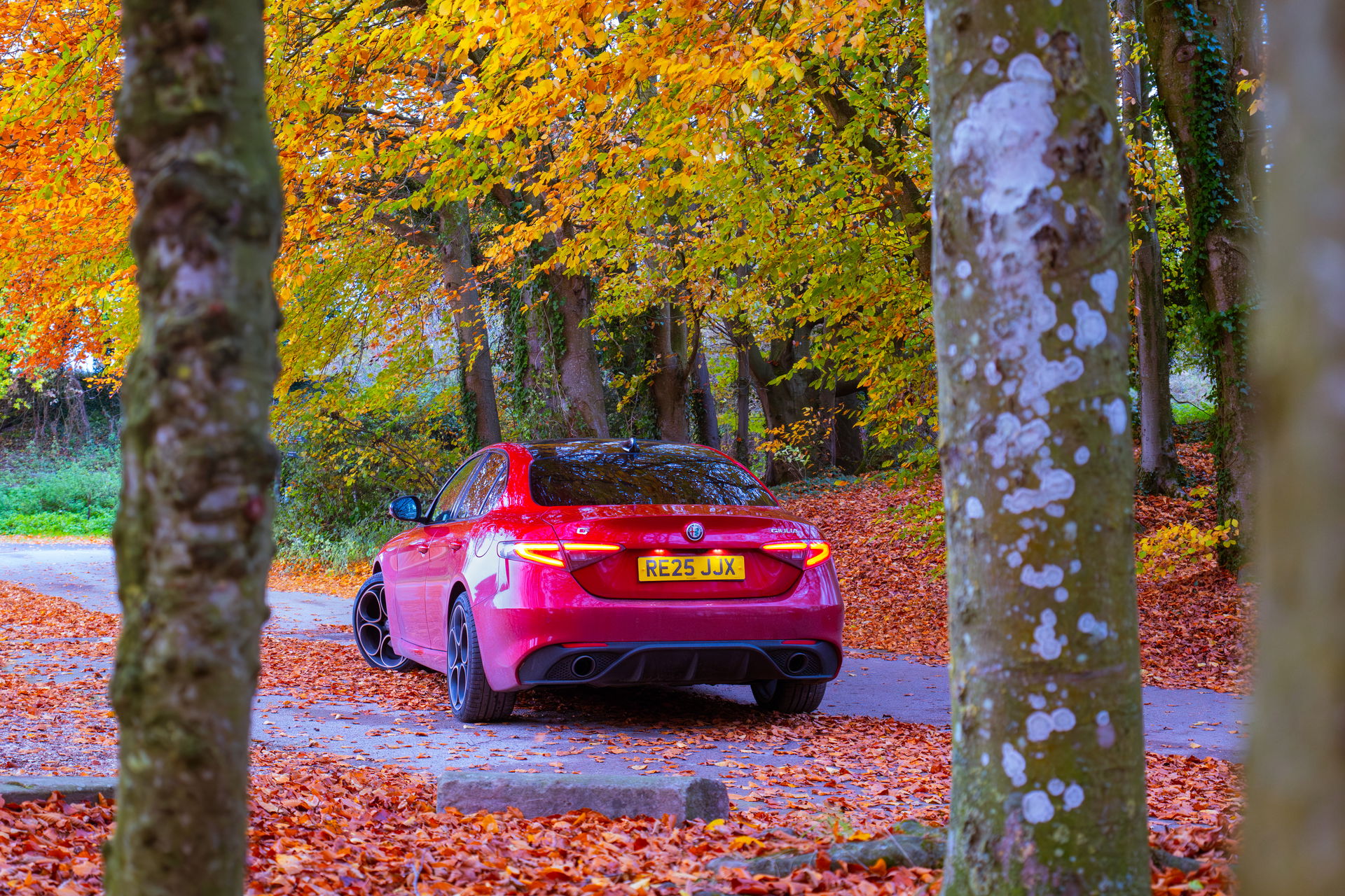 Alfa Romeo Giulia Intensa Rear 3/4