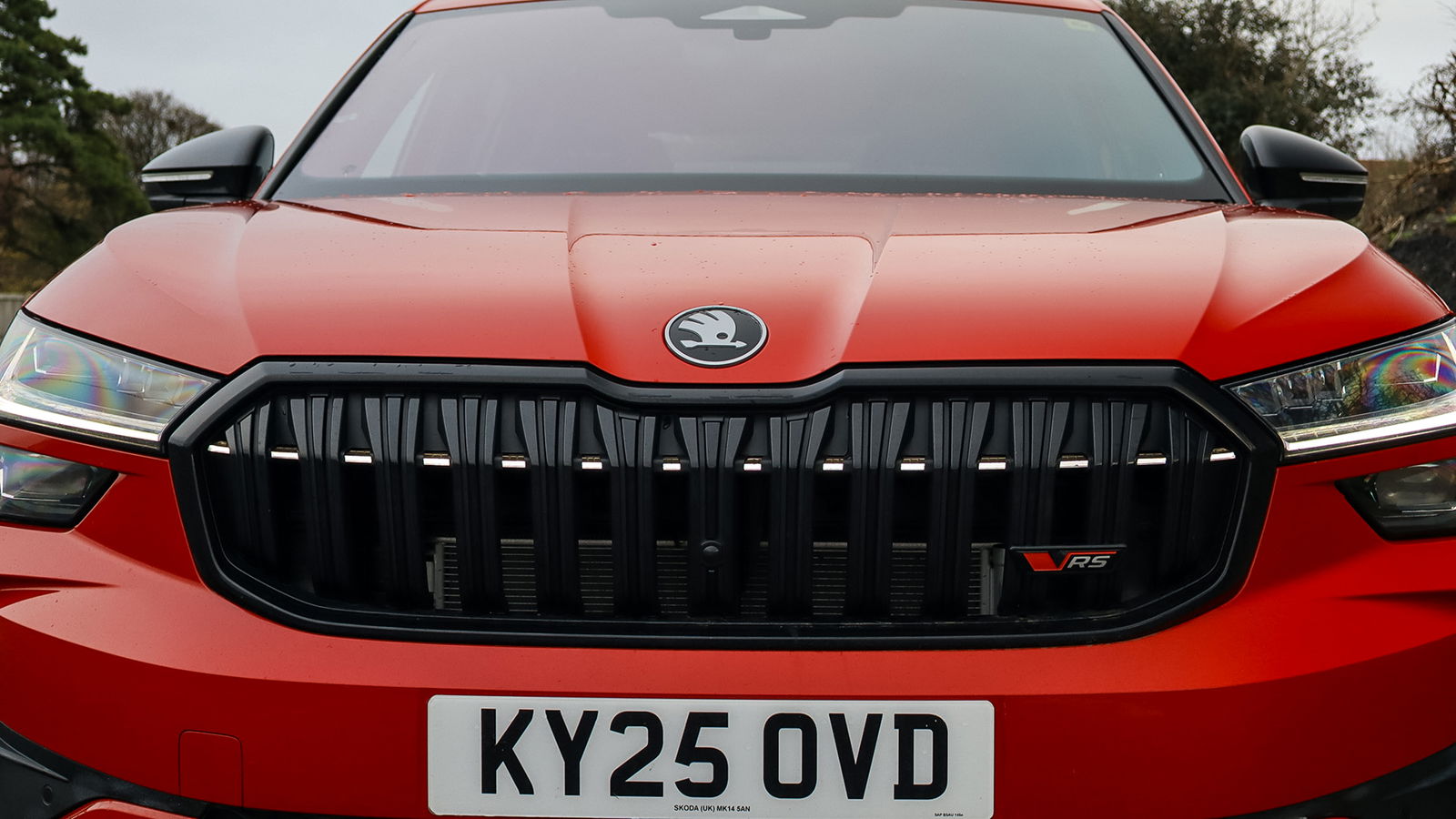 Skoda Kodiaq vRS - front detail