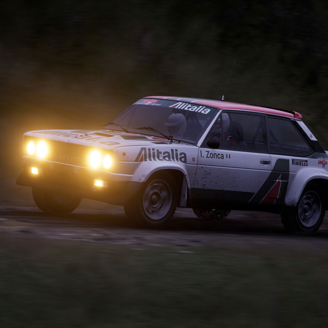 Assetto Corsa Rally, in-game screenshot