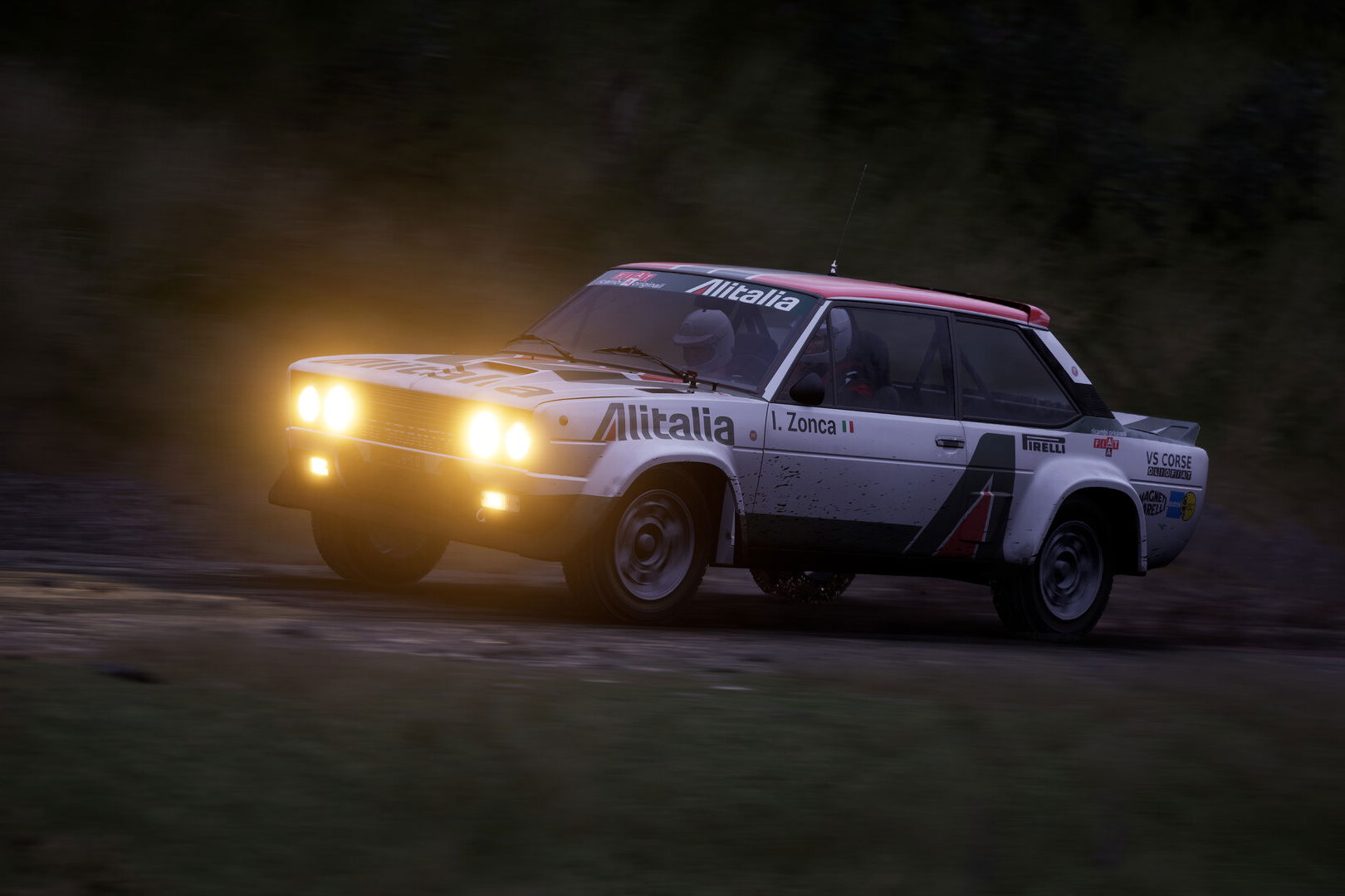 Assetto Corsa Rally, in-game screenshot
