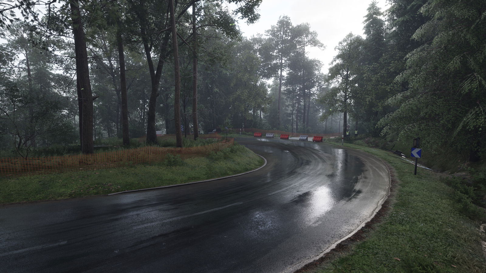 Assetto Corsa Rally, in-game screenshot