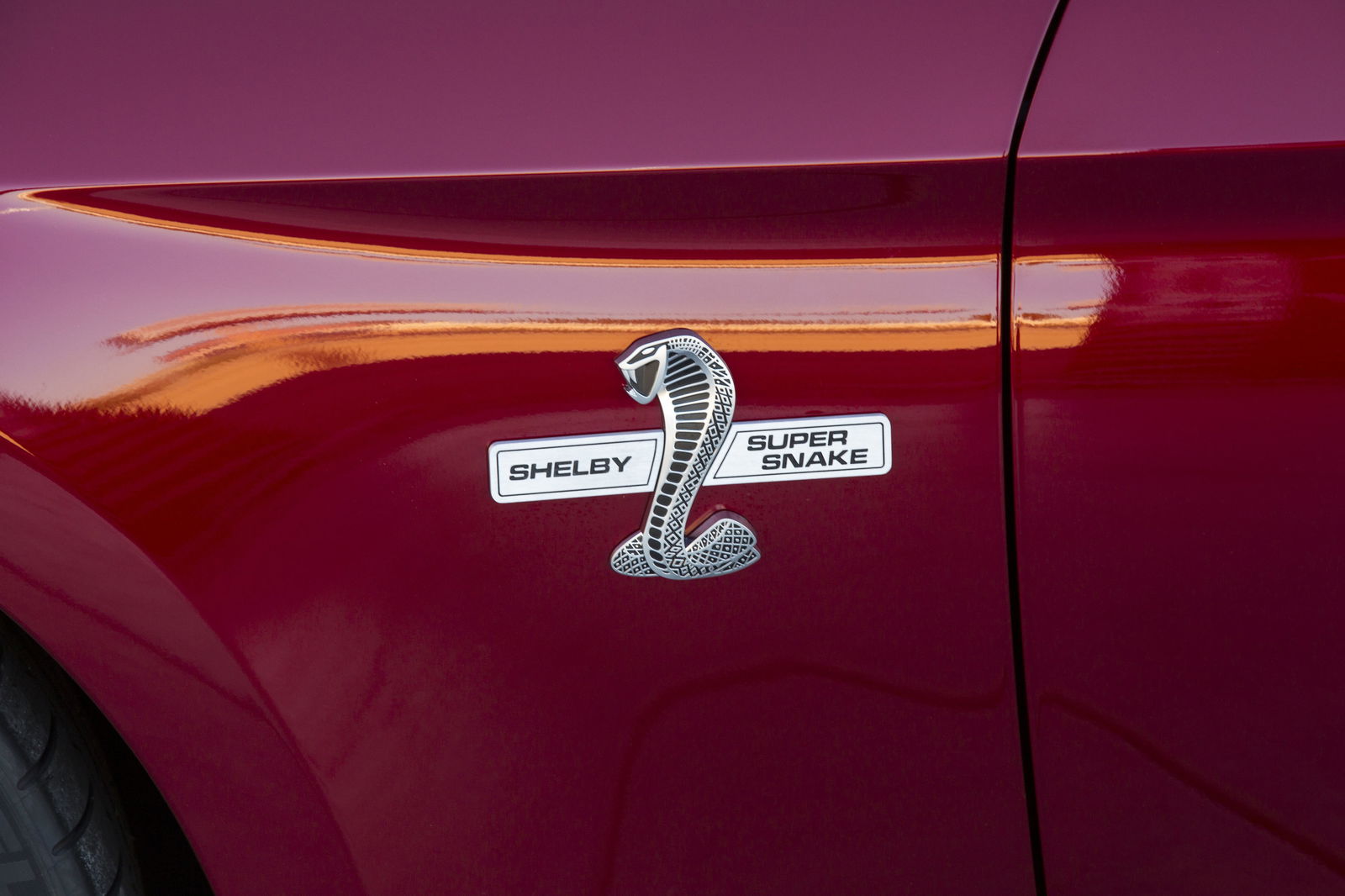 Shelby Just Whipped Out Its Bonkers 750bhp Mustang Super Snake