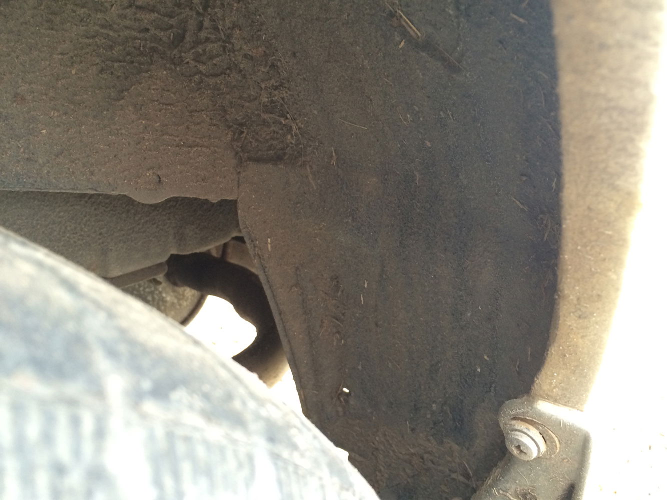 Arches should have a mottled surface, not smooth.