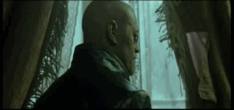 Top 8 Des Meilleurs Réactions Hilarantes De Ces Styles De Conduites