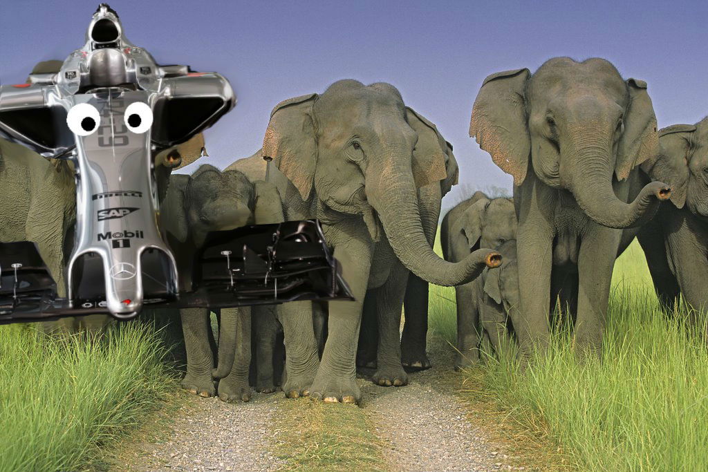 11 Cars That Look Uncannily Like Animals