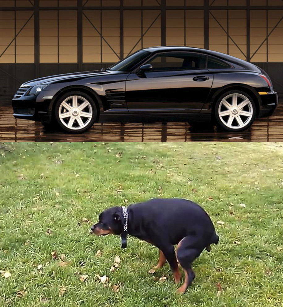11 Cars That Look Uncannily Like Animals