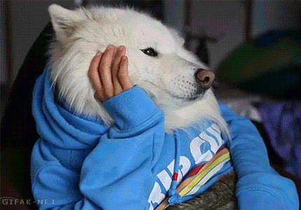 13 Ways We Reacted To The 'Last Ever' Top Gear Episode