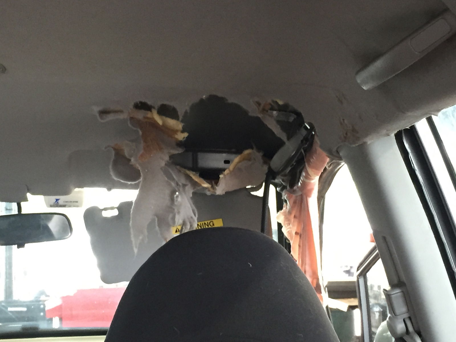 This Dog Served Its Stupid Human With Karma After Being Locked In A Hot Car