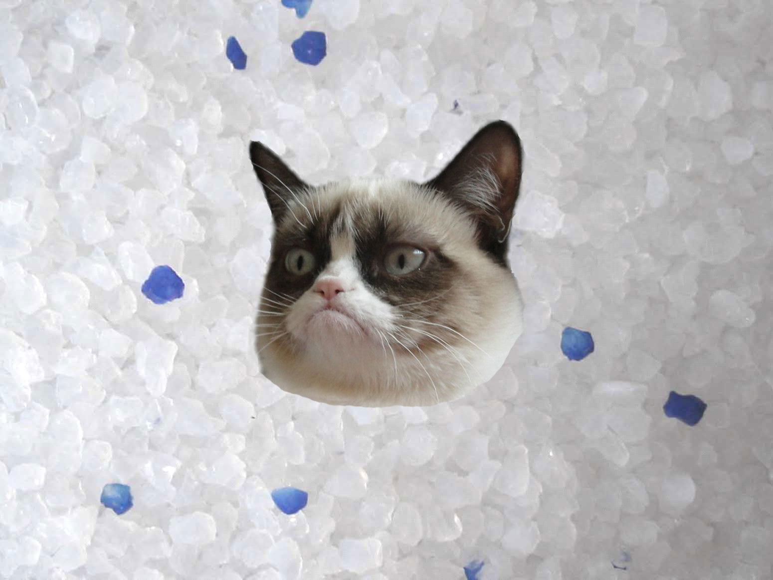 10 Summer Car Care Hacks Using Household Items