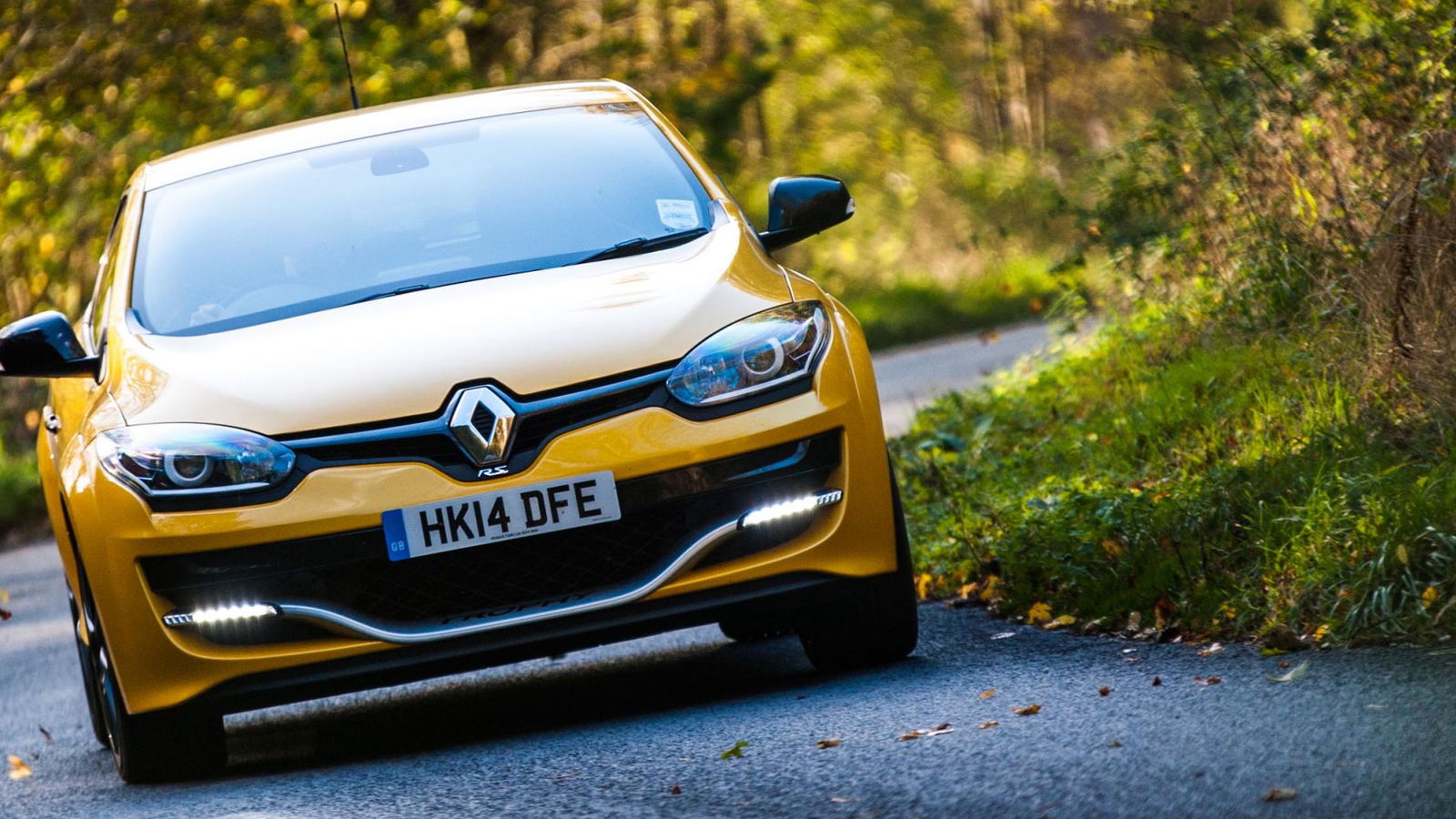 10 Reasons Why Petrolheads Are Superior Drivers