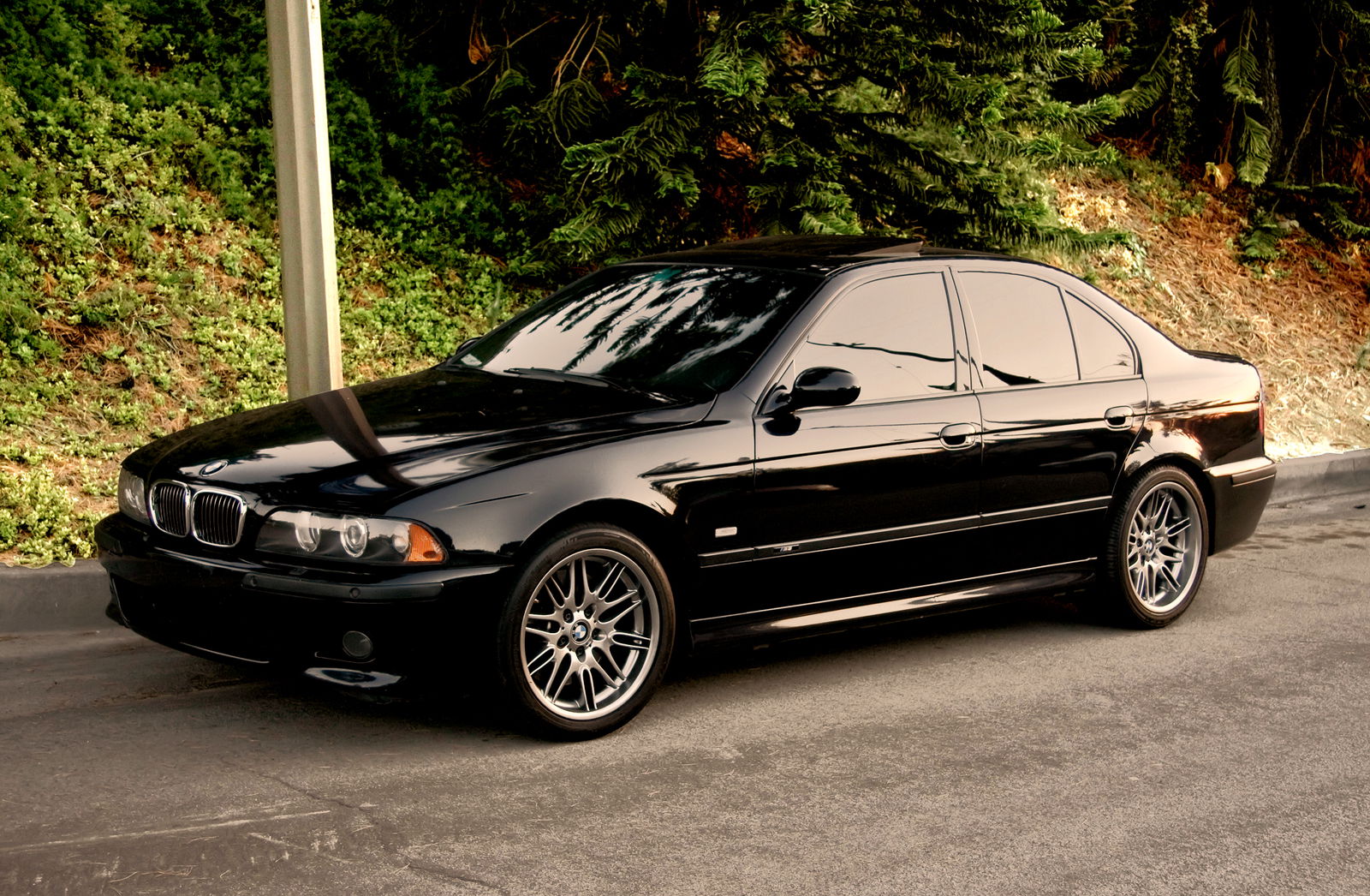 E39 5.0L V8 M5