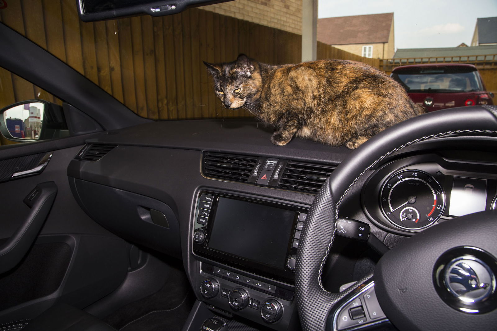 The 13 Weirdest Things Found In Used Cars By CT Readers