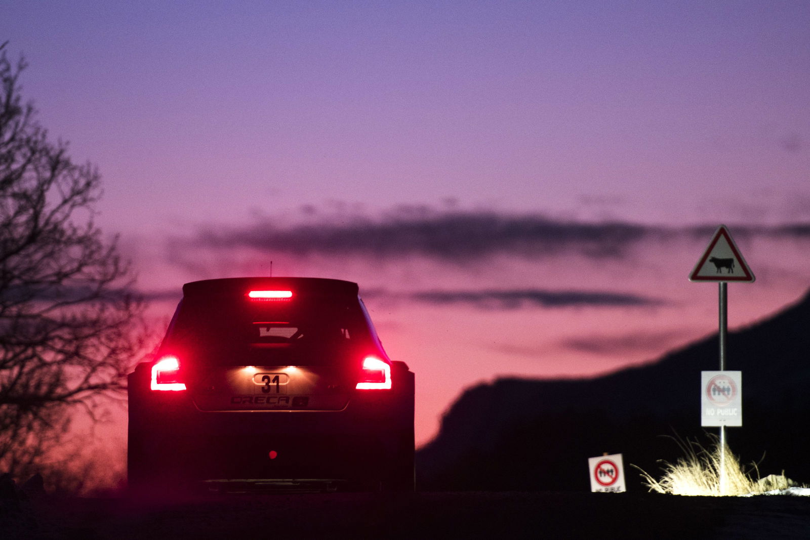 Teemu Suninen, Skoda Fabia R5, image: Jaanus Ree/Red Bull Content Pool