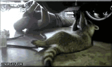 10 Struggles Of The Amateur Home Mechanic