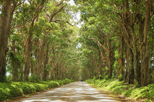 25 Fantastic Car Photo-Op Sites In America