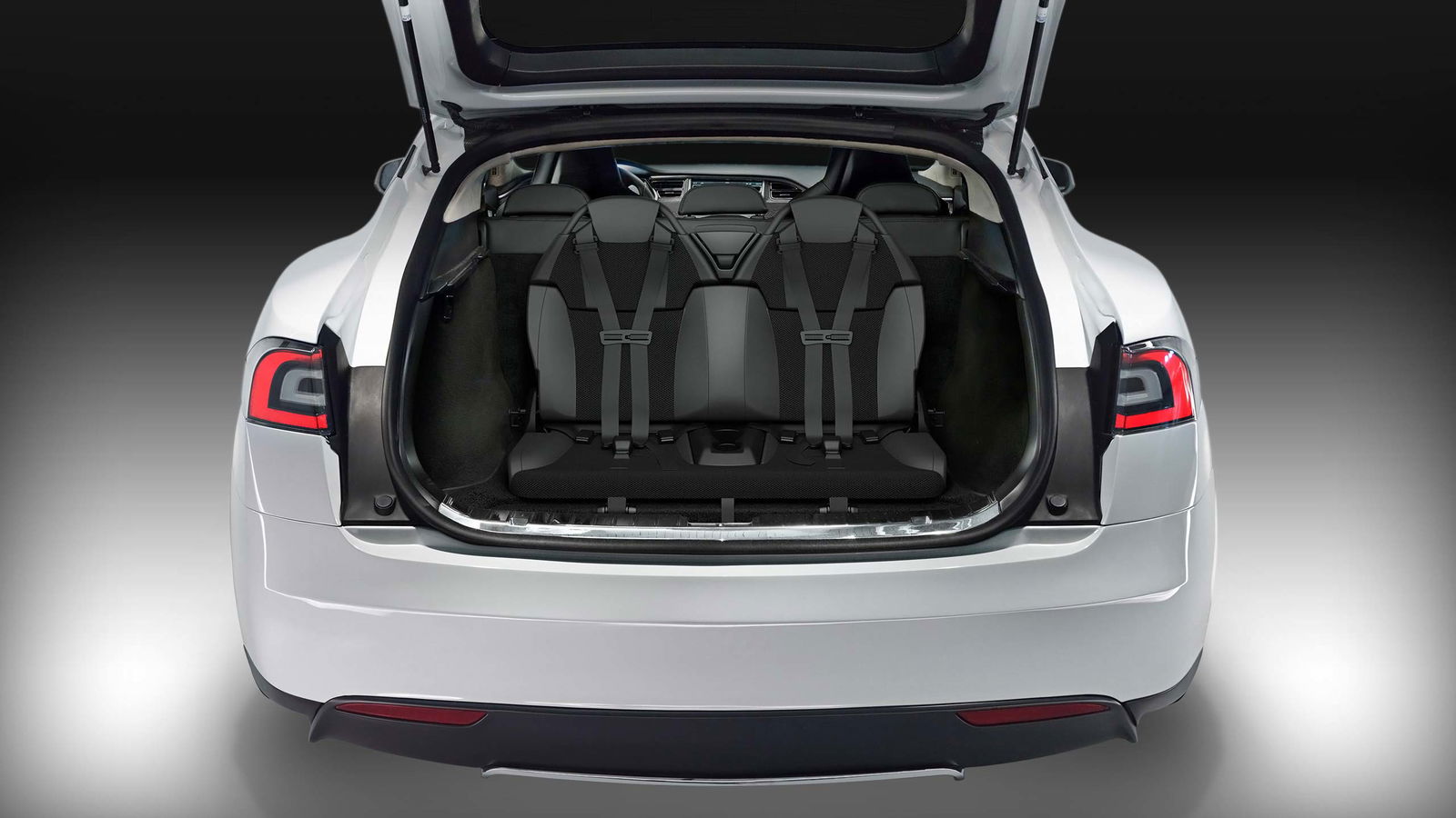 Someone Called The Police On This Tesla-Owning Family, Thinking They'd