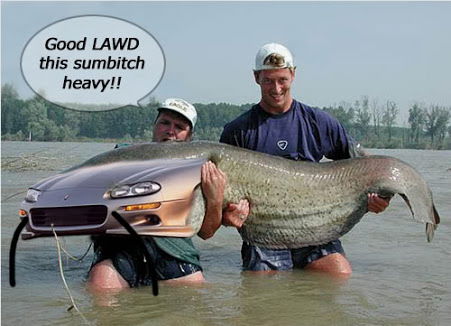 11 Cars That Look Uncannily Like Animals
