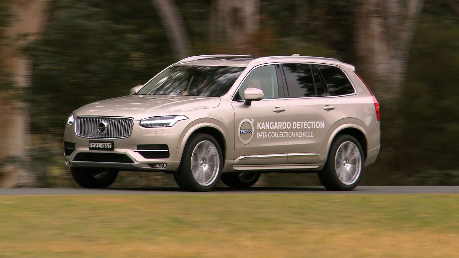 Good Guy Volvo Is Working On A Kangaroo Detection System To Stop Fatalities In Australia