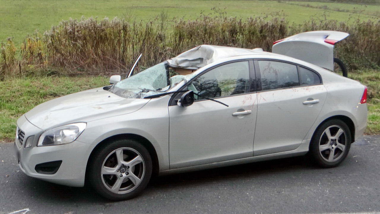 This Is What A Volvo S60 Looks Like After Hitting A 130kg Deer