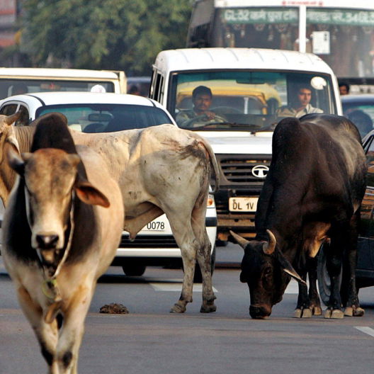 Do it for the 350z...